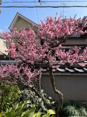徳林寺(京都府)