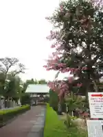 真光寺(千葉県)