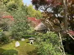 華厳寺（鈴虫寺）の庭園