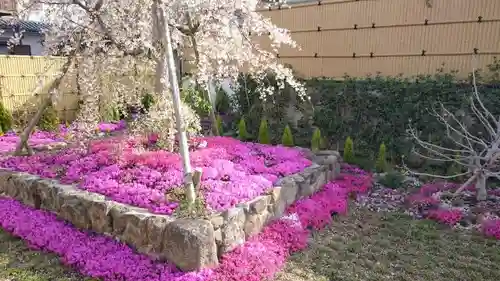 寿量山　速成寺の庭園