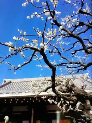 常性寺(東京都)