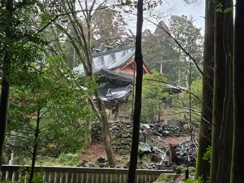 霧島神宮(鹿児島県)