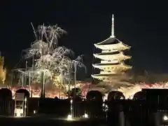 東寺（教王護国寺）(京都府)