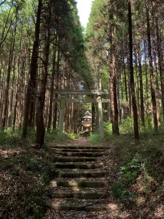 箱根神社(千葉県)