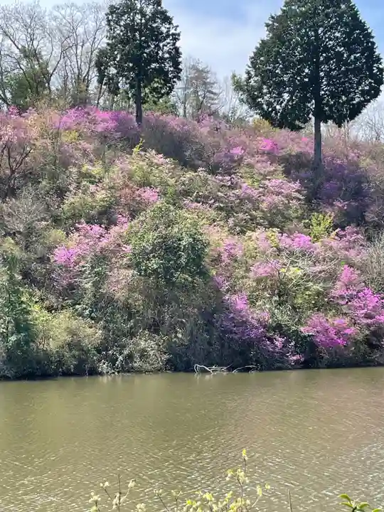 楞厳寺(京都府)
