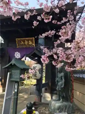 密藏院の山門・神門