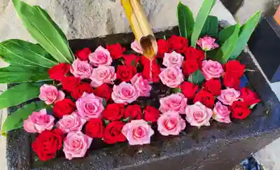 差出磯大嶽山神社 仕事と健康と厄よけの神さまの手水舎