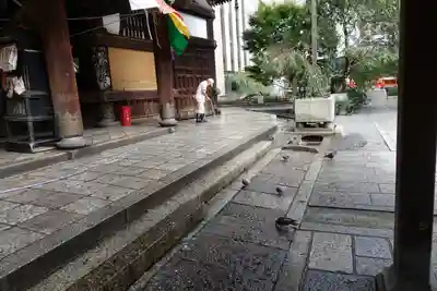 頂法寺(六角堂)の本殿・本堂