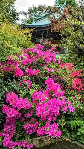 白金氷川神社の自然