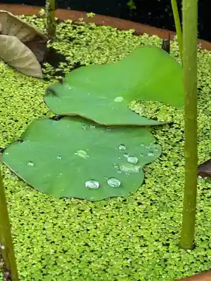 伊勢の国 四天王寺(三重県)