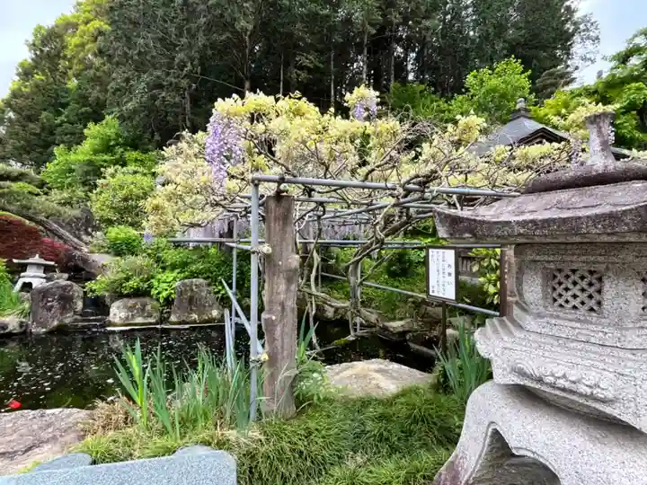 阿彌陀院(茨城県)