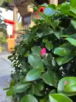 大鏑神社(福島県)