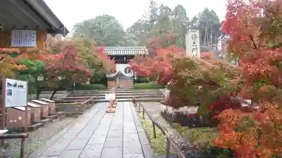 光明寺（粟生光明寺）のその他建物