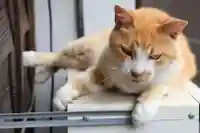 正泉寺(神奈川県)