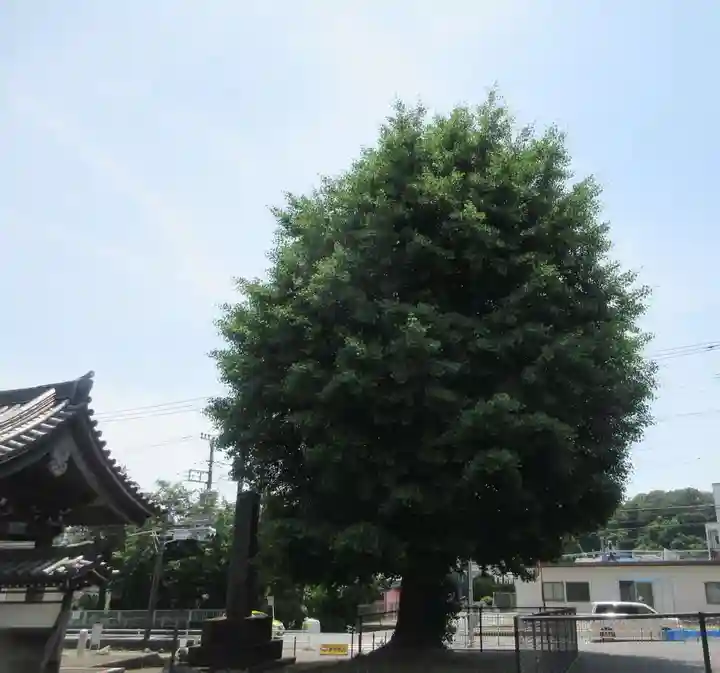 妙福寺(神奈川県)