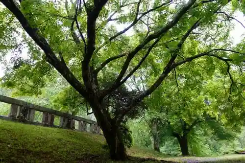 吉野神宮の庭園