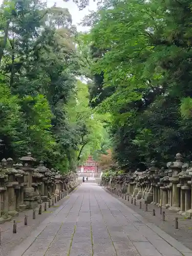 石清水八幡宮のその他建物