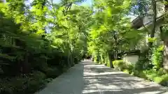 賀茂御祖神社（下鴨神社）(京都府)