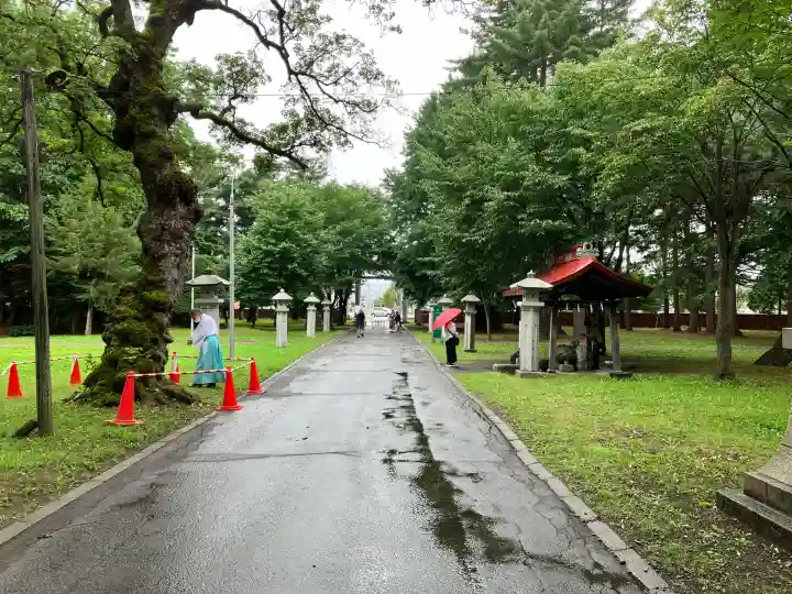 十勝護国神社の景色