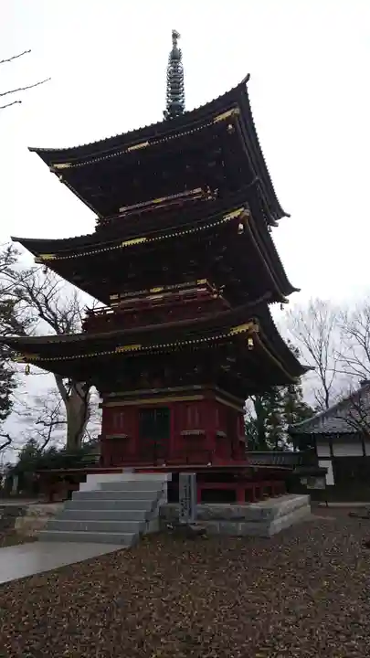 不動院(板橋不動尊)の塔