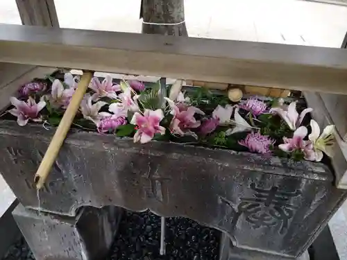 鳩森八幡神社の手水舎