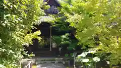 勝林寺の自然