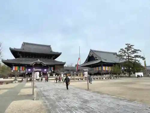 本山専修寺の本殿・本堂