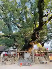 宇美八幡宮(福岡県)