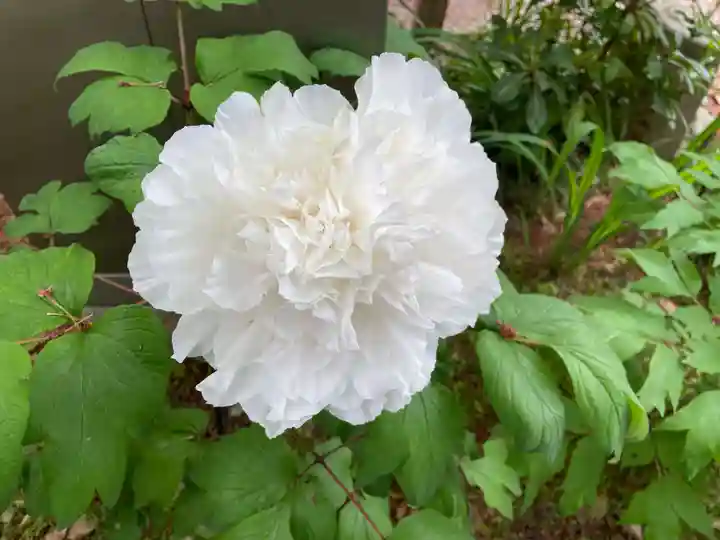 元興寺(奈良県)