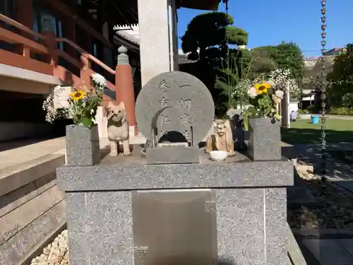 金藏院(神奈川県)