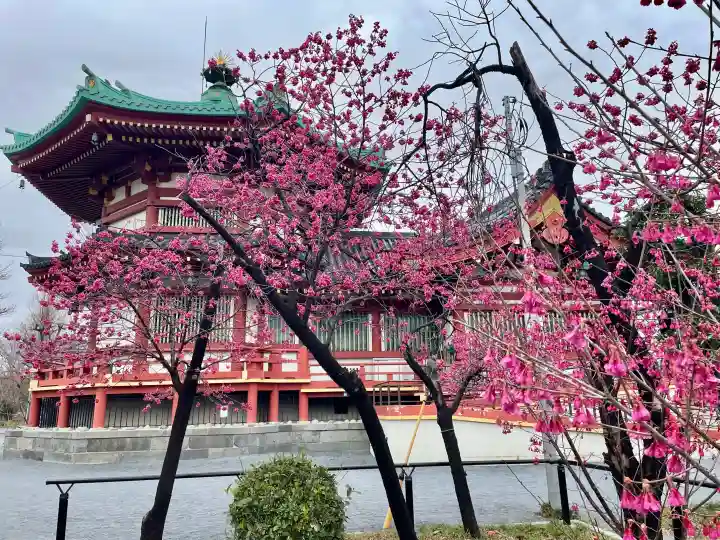寛永寺不忍池弁天堂の{uncategorized: "未分類", other: "その他", undefined: "問題あり", building: "その他建物", grave: "お墓", sacred_gate: "鳥居", guardian: "狛犬", statue: "像", buddha: "仏像", history: "歴史", nature: "自然", garden: "庭園", animal: "動物", pagoda: "塔", temizu: "手水舎", mountain_gate: "山門・神門", sanctuary: "本殿・本堂", subordinate: "末社・摂社", art: "芸術", scenery: "景色", jizo: "地蔵", ema: "絵馬", goshuin: "御朱印", omikuji: "おみくじ", items: "授与品その他", amulet: "お守り", goshuincho: "御朱印帳", eats: "食事", festival: "お祭り", votive_dance: "神楽", shichigosan: "七五三参", wedding: "結婚式", experience: "体験その他", initially: "初詣", around: "周辺", anti_infection: "感染症対策"}
