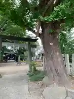 水海道鎮守 八幡神社の鳥居