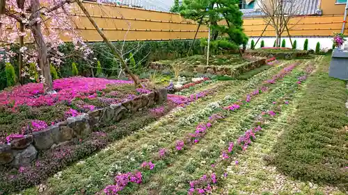 寿量山　速成寺の庭園