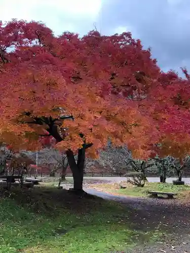 青森縣護國神社(青森県)