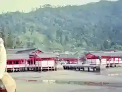 厳島神社(広島県)