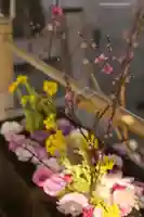 相模原氷川神社(神奈川県)