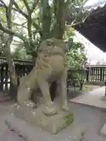 柳川総鎮守 日吉神社(福岡県)