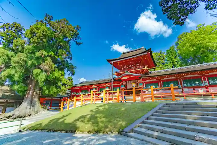 春日大社(奈良県)