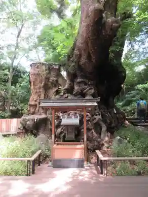 來宮神社のその他建物