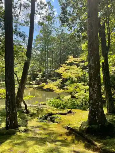 西芳寺(京都府)