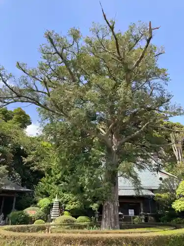 西光寺(神奈川県)
