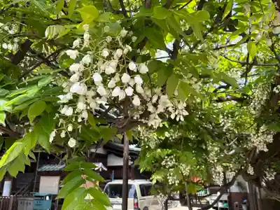 中道八阪神社(大阪府)