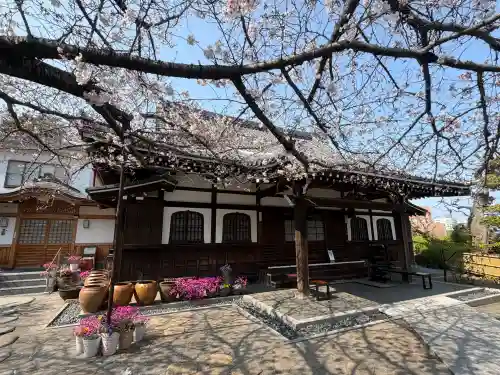 泥牛庵の{uncategorized: "未分類", other: "その他", undefined: "問題あり", building: "その他建物", grave: "お墓", sacred_gate: "鳥居", guardian: "狛犬", statue: "像", buddha: "仏像", history: "歴史", nature: "自然", garden: "庭園", animal: "動物", pagoda: "塔", temizu: "手水舎", mountain_gate: "山門・神門", sanctuary: "本殿・本堂", subordinate: "末社・摂社", art: "芸術", scenery: "景色", jizo: "地蔵", ema: "絵馬", goshuin: "御朱印", omikuji: "おみくじ", items: "授与品その他", amulet: "お守り", goshuincho: "御朱印帳", eats: "食事", festival: "お祭り", votive_dance: "神楽", shichigosan: "七五三参", wedding: "結婚式", experience: "体験その他", initially: "初詣", around: "周辺", anti_infection: "感染症対策"}