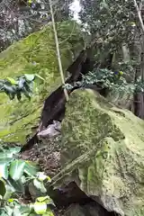 住吉神社の自然