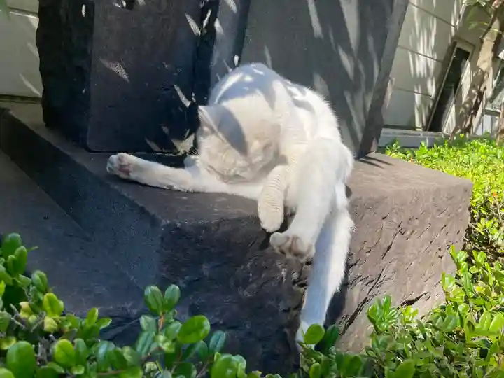城岡神社の動物