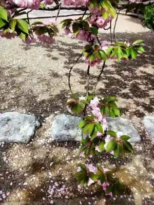 境妙寺(東京都)