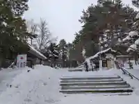 上川神社の庭園