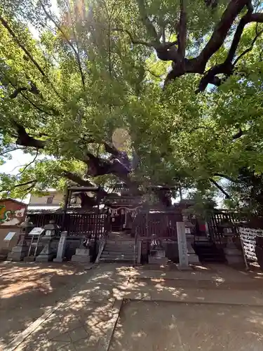 三島神社(大阪府)
