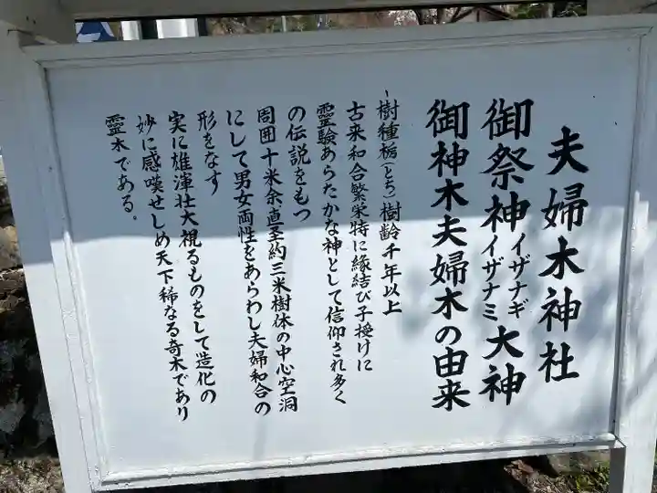 夫婦木神社(山梨県)