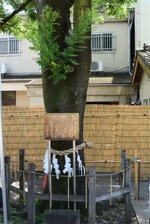 浅草神社(東京都)